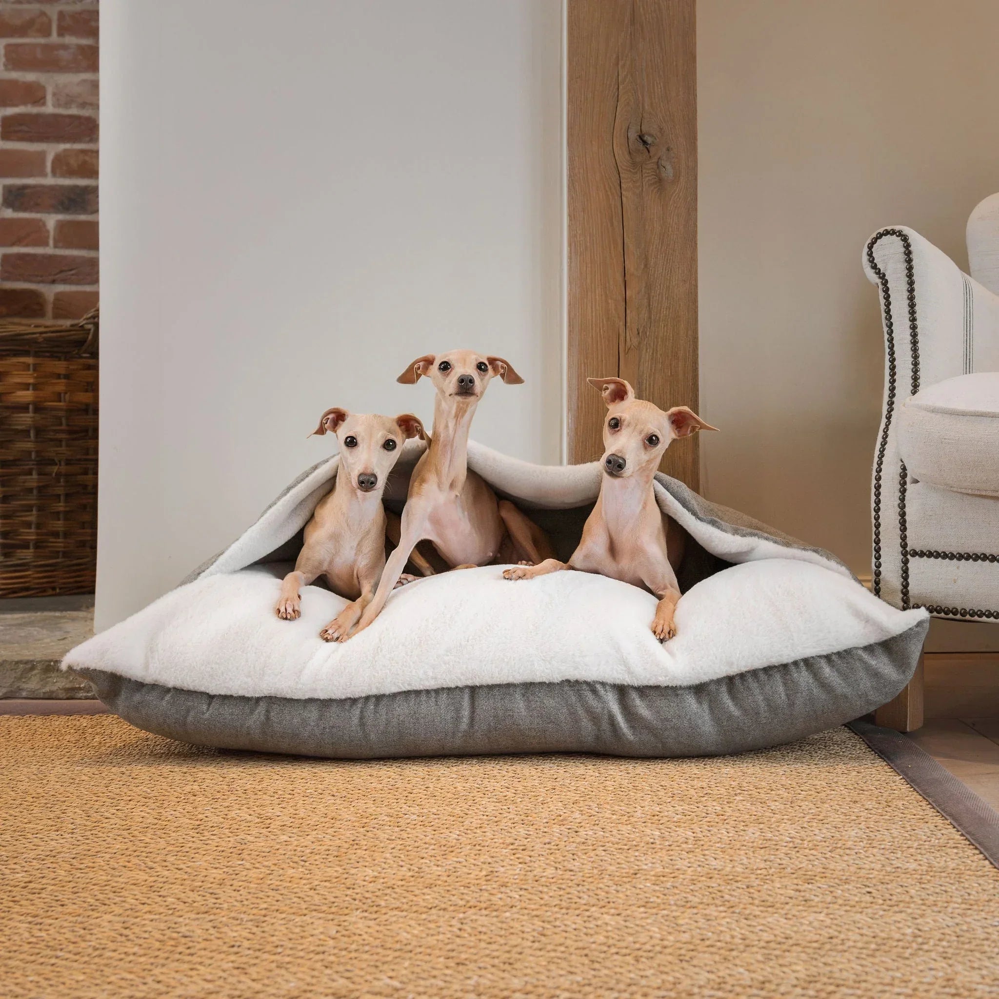 Lords & Labradors sleepy burrows dog bed for Italian greyhounds in an indoor living space.
