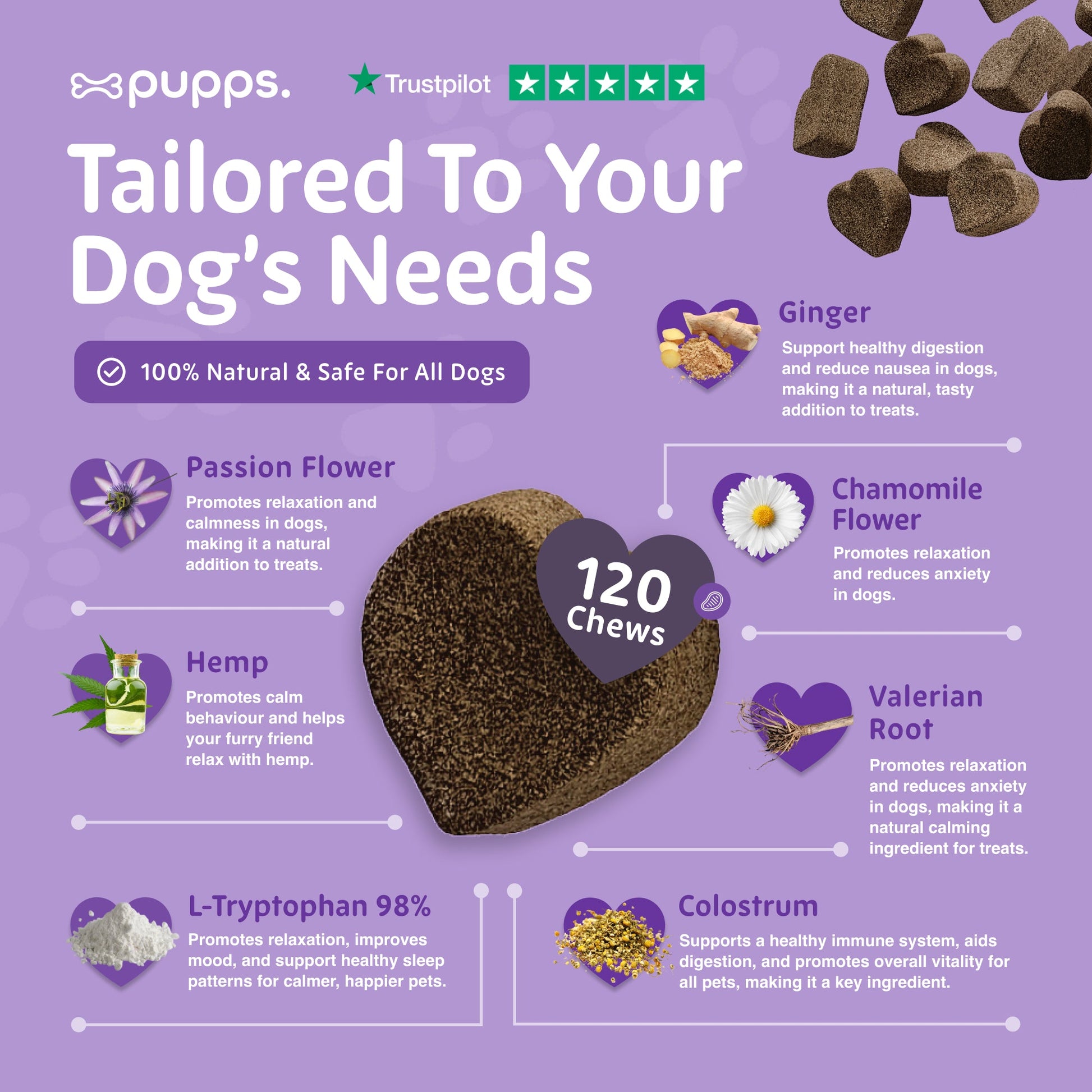 Ingredients used in calming supplement chews for dogs