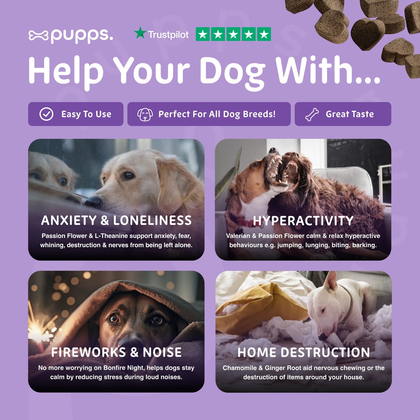 Calming support for dogs during stress, fireworks, and loud noises