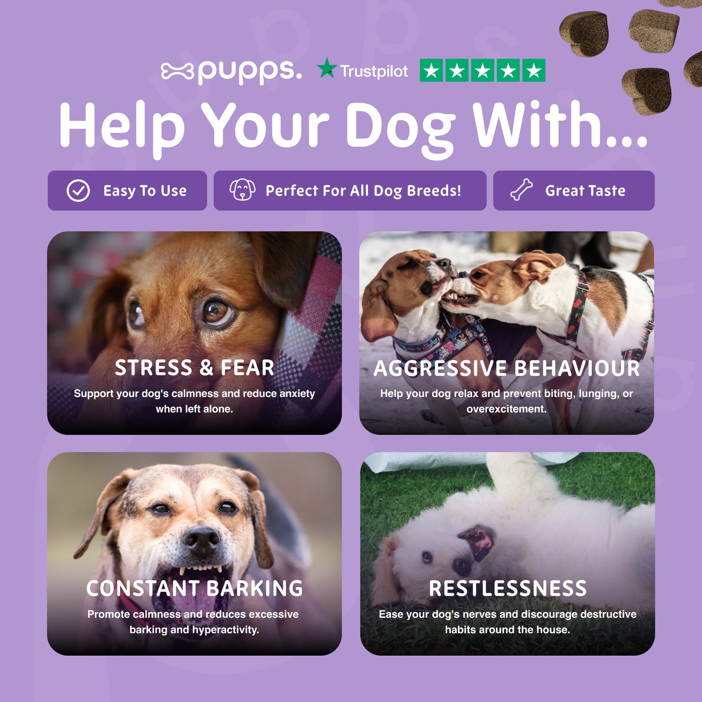 Calming supplement chews for restless and excitable dogs
