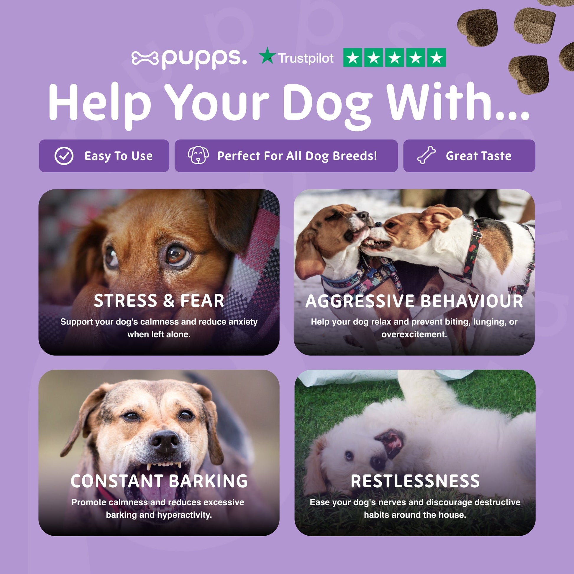 Calming supplement chews for restless and excitable dogs