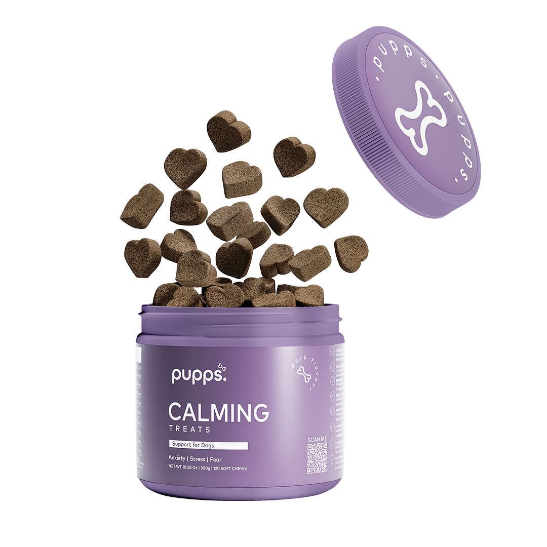 Tub of calming treats for dogs with soft calming chews