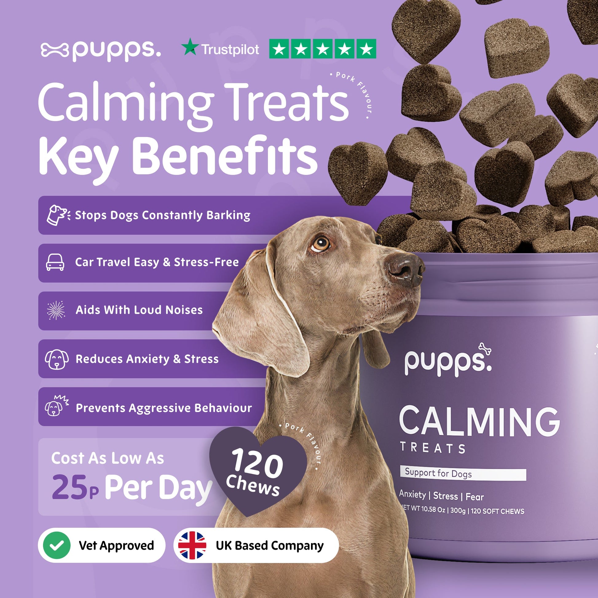 Calming treats supporting relaxation and calmer behaviour in dogs