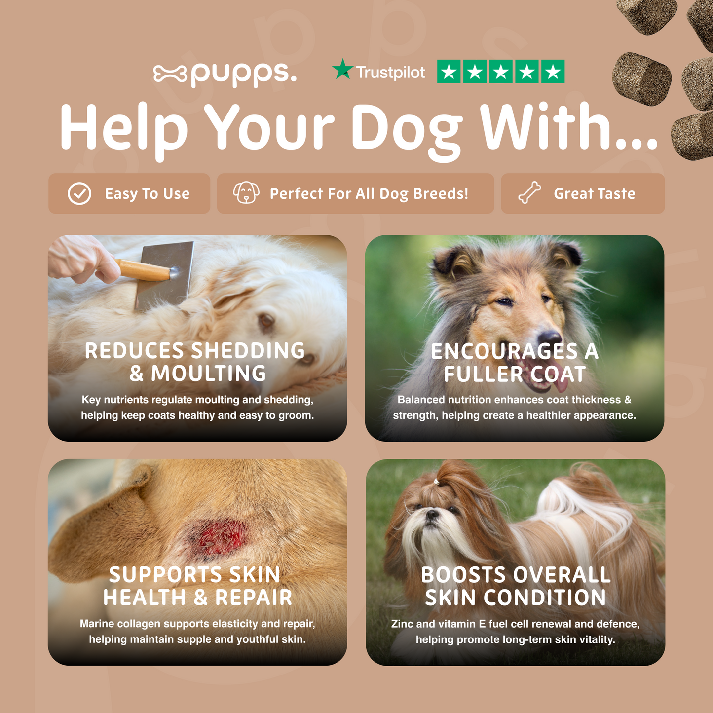 Skin and coat chews supporting healthy coats and seasonal shedding in dogs