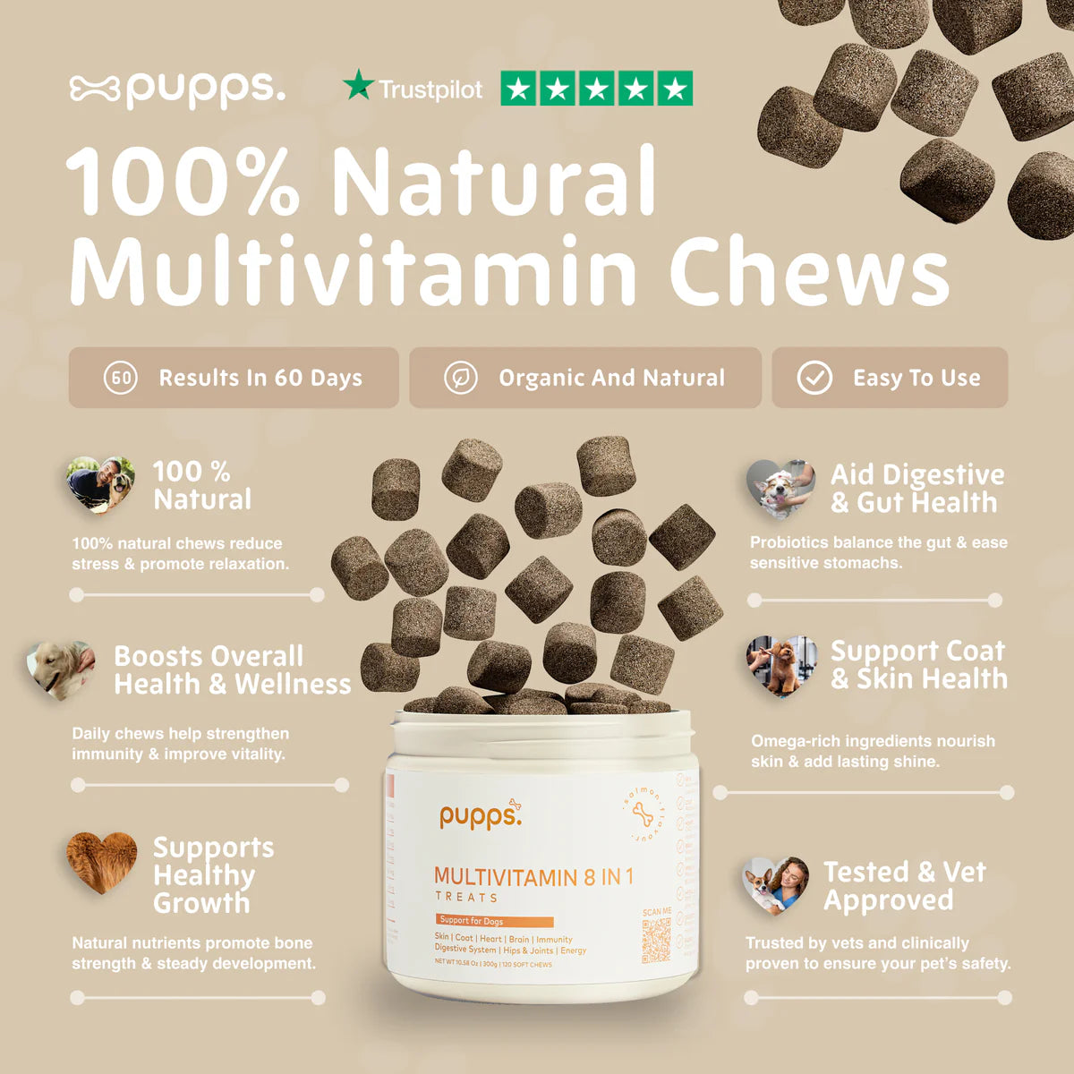 Daily multivitamin chews for dogs supporting overall health and wellbeing