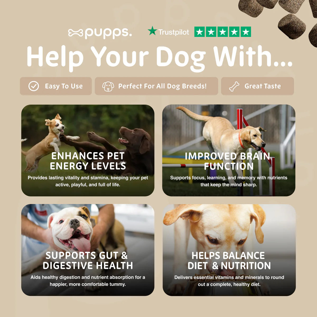Daily wellbeing support chews for dogs with energy and nutritional benefits