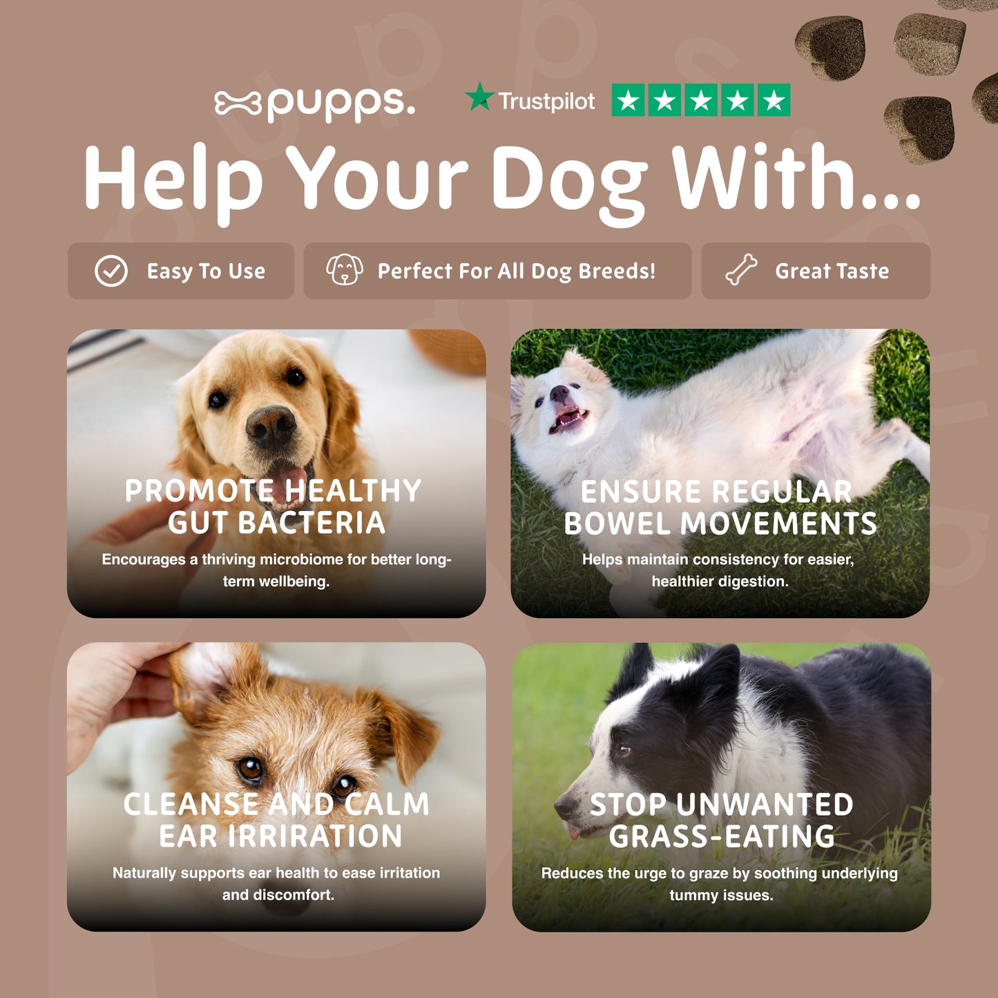 Probiotic treats supporting healthy digestion and stool quality in dogs