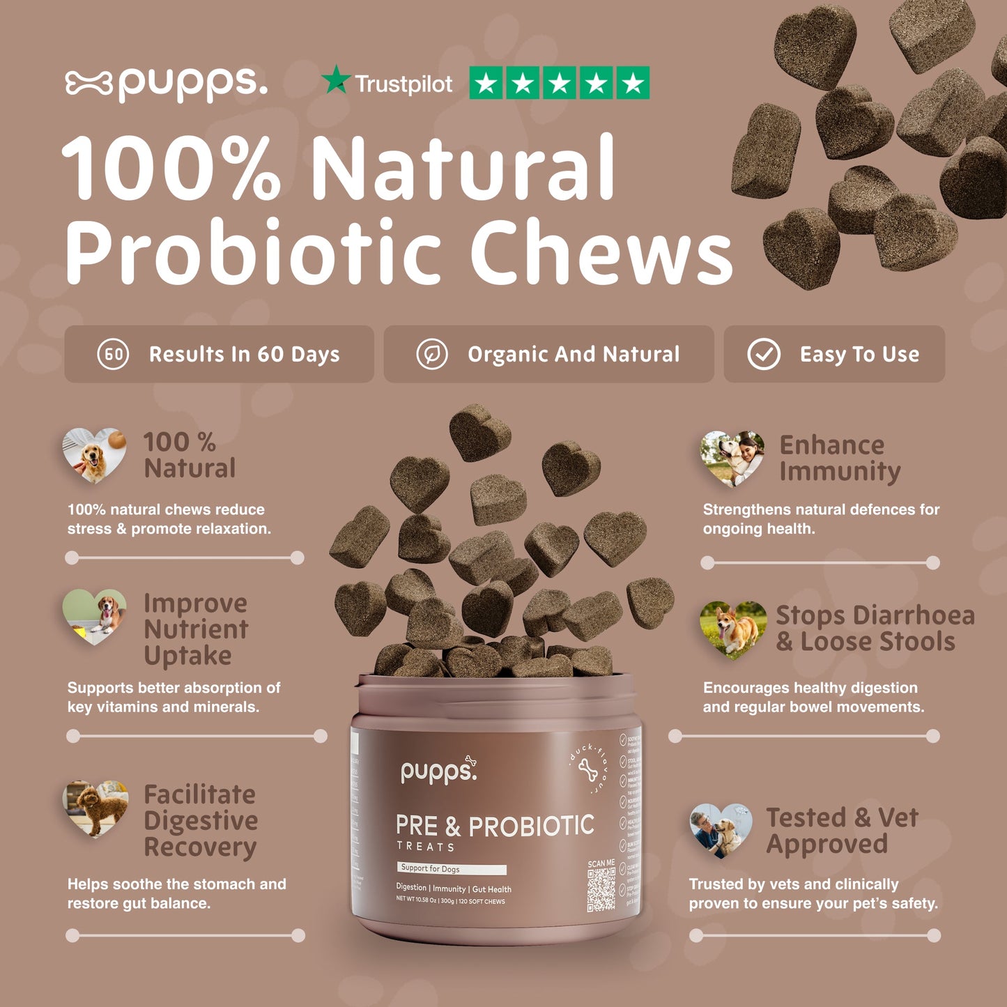Dog digestive supplement chews with probiotics and prebiotics