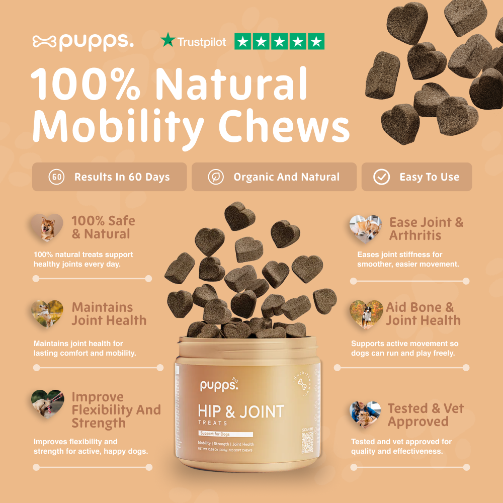 Dog mobility supplement chews with natural joint support ingredients