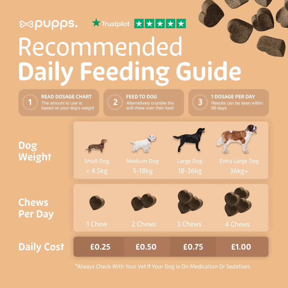 Daily feeding guide for hip and joint supplement chews for dogs