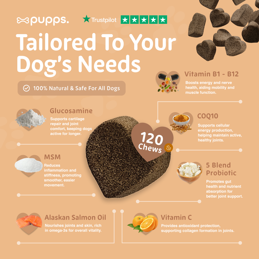 Ingredients used in hip and joint supplement chews for dogs