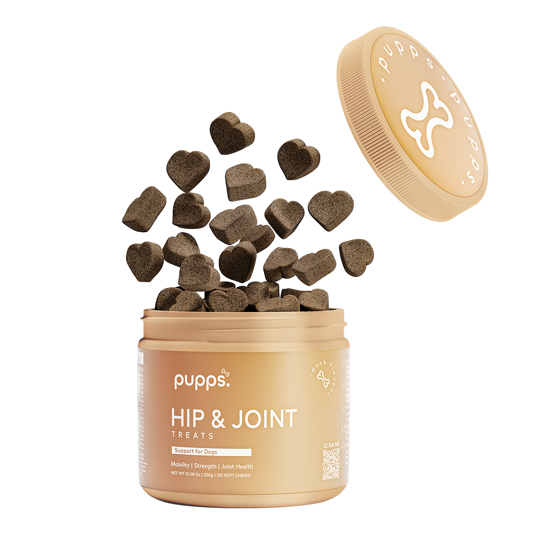 Tub of hip and joint treats for dogs with soft mobility chews