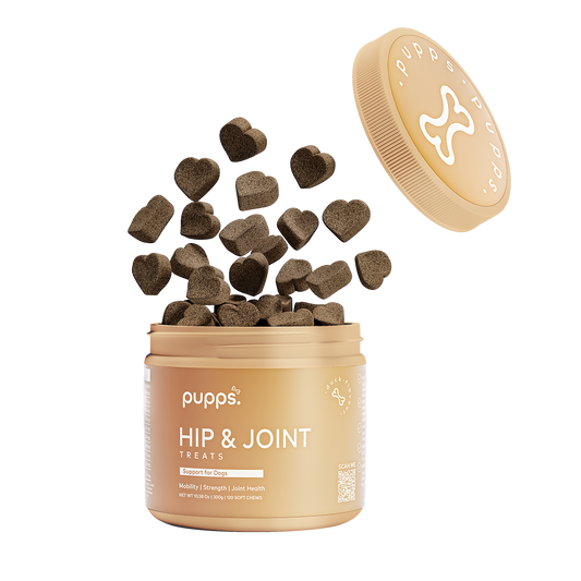 Tub of hip and joint treats for dogs with soft mobility chews