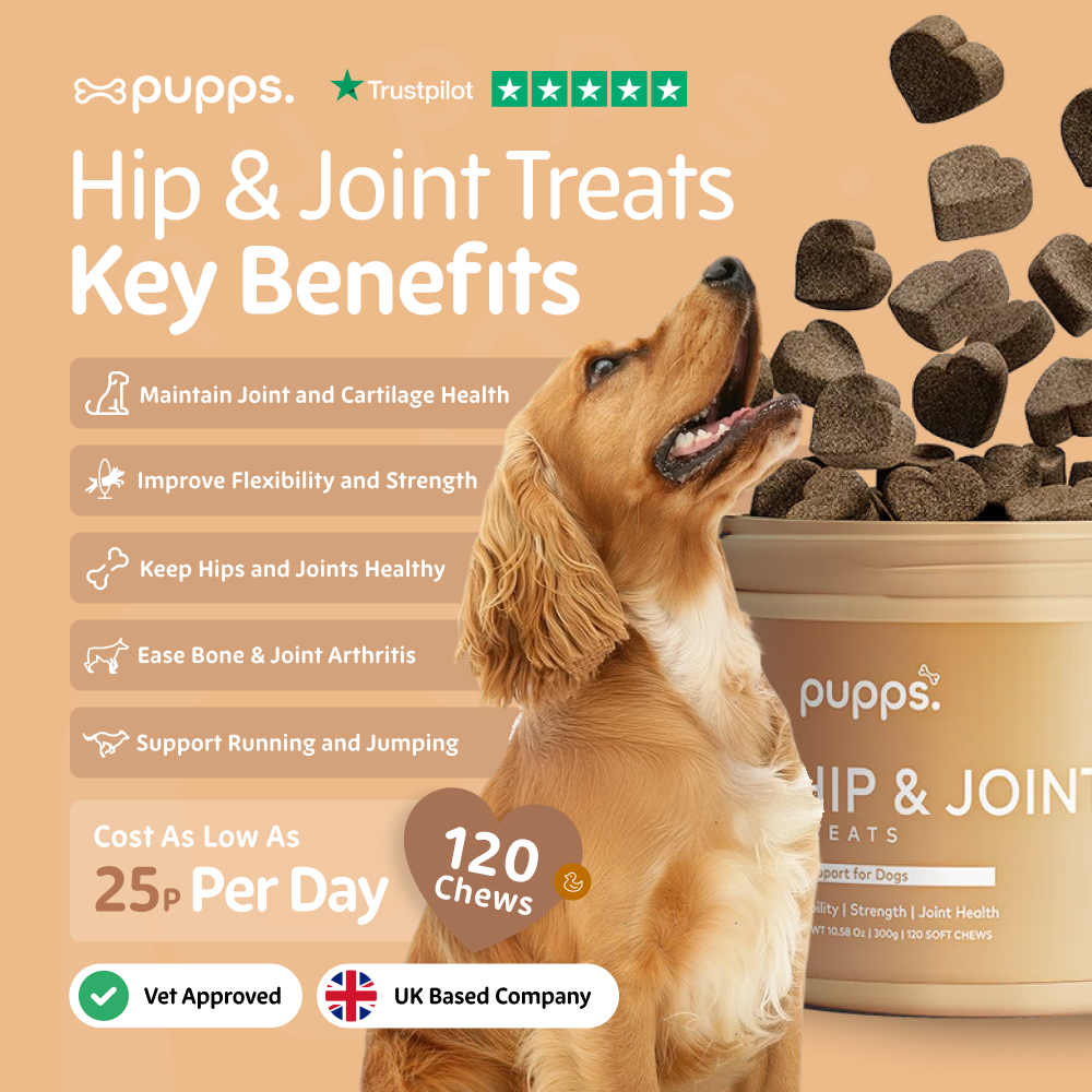 Hip and joint treats supporting mobility and flexibility in dogs
