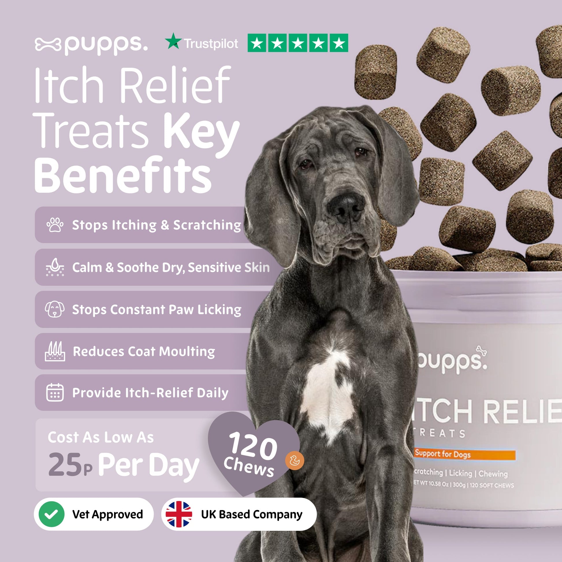 Dog supplement for itching, scratching, paw licking and sensitive skin support