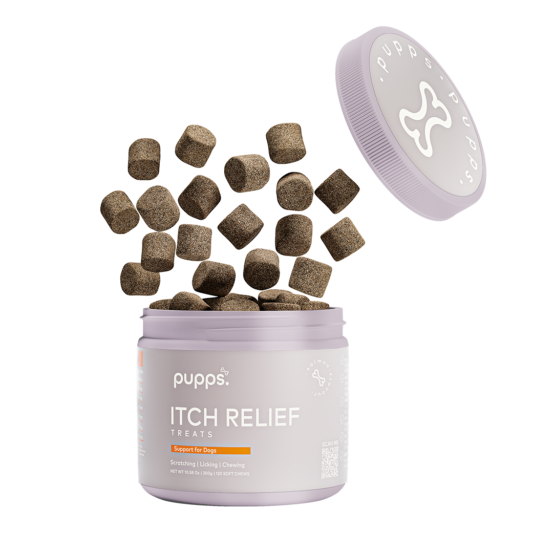 Pupps Itch Relief Treats For Dogs soft chew supplement tub with chews falling from the container