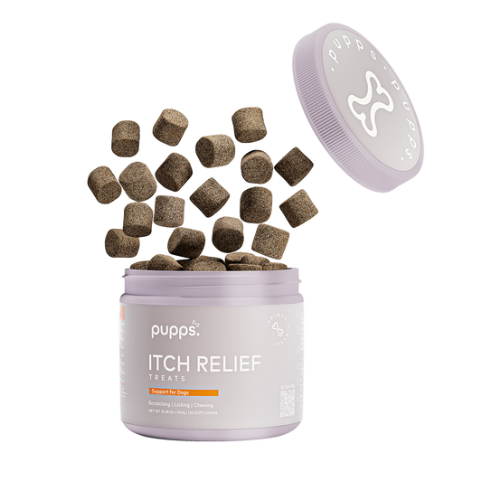 Pupps Itch Relief Treats For Dogs soft chew supplement tub with chews falling from the container