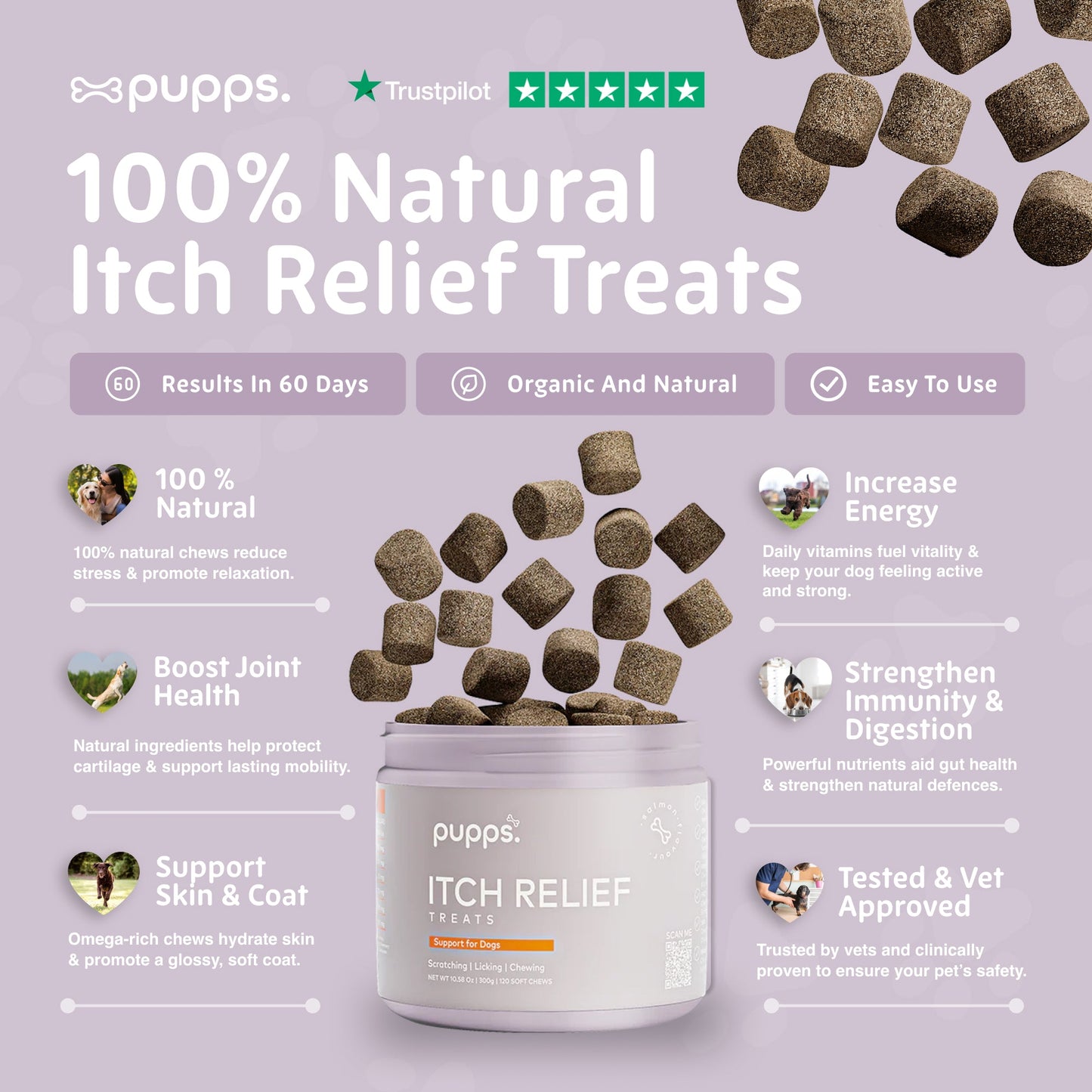 Key ingredients for itch relief treats for dogs including probiotics, salmon oil, turmeric and apple cider vinegar