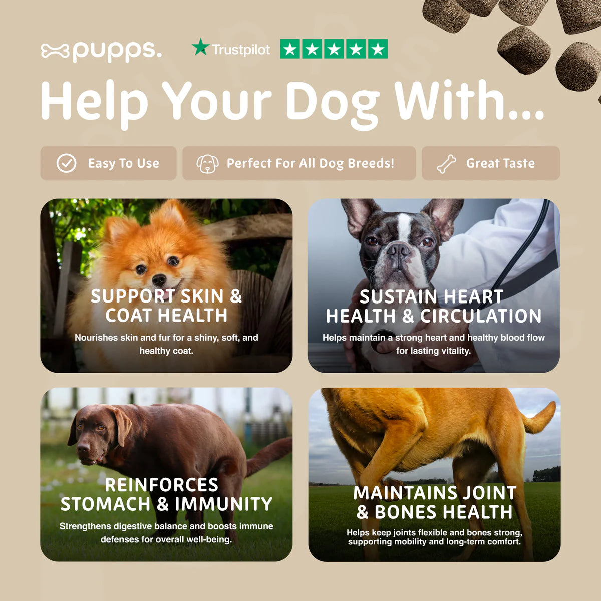 Multivitamin health support for digestion, skin, coat and immunity in dogs