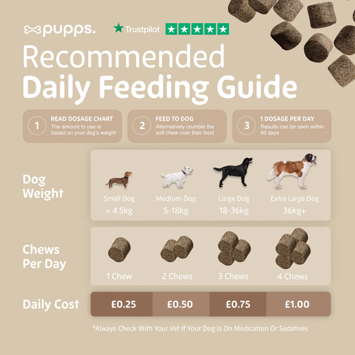 Daily feeding guide for multivitamin supplement chews for dogs