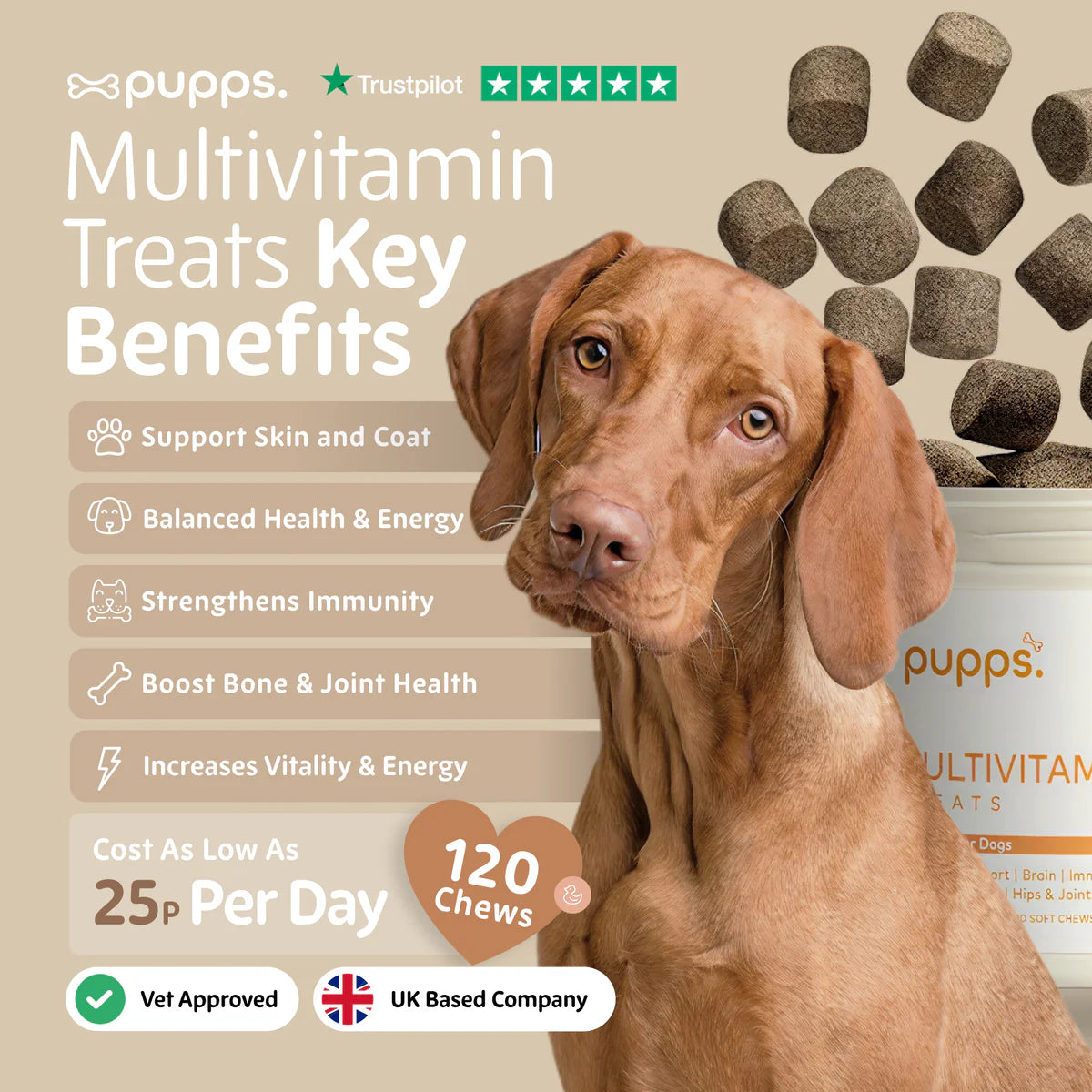 Multivitamin treats supporting skin, coat, immunity, energy, and joint health in dogs