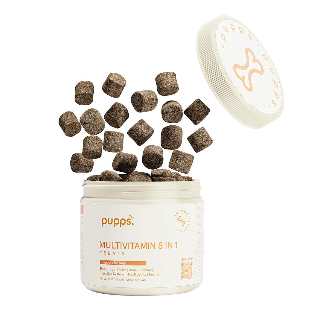 Tub of Pupps Multivitamin Treats For Dogs with daily health support soft chews