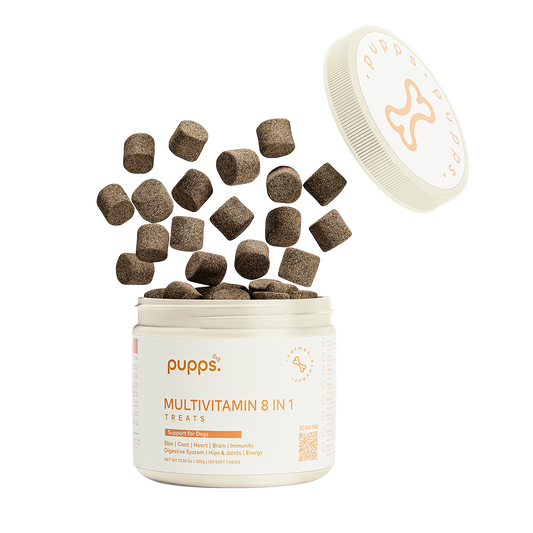Tub of Pupps Multivitamin Treats For Dogs with daily health support soft chews