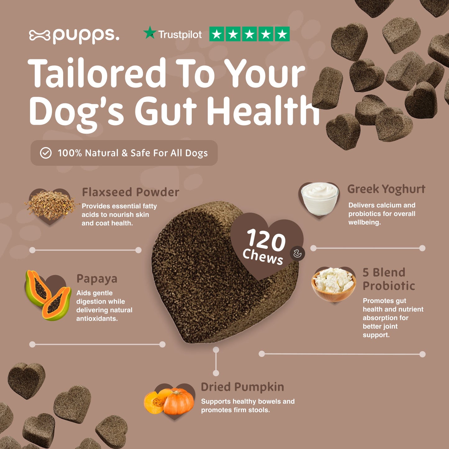 Ingredients used in probiotic supplement chews for dogs