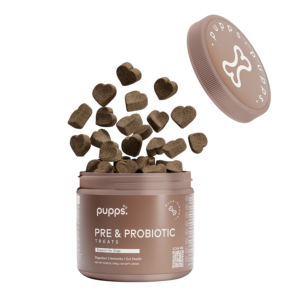 Tub of Pupps probiotic treats for dogs with daily digestive support chews