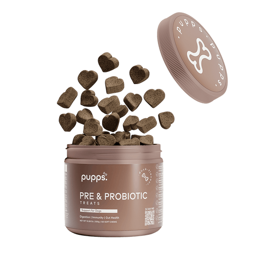 Tub of Pupps probiotic treats for dogs with daily digestive support chews