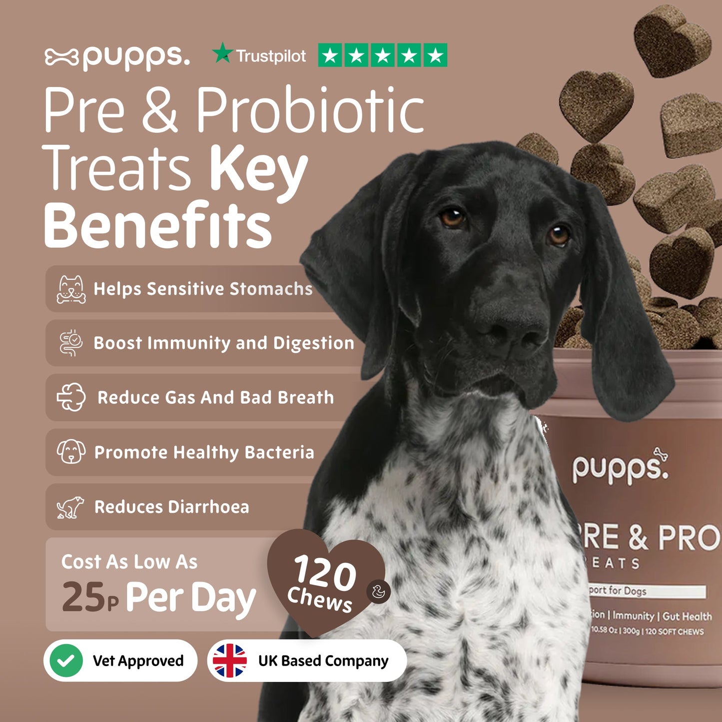 Probiotic treats supporting digestion, gut health and immunity in dogs
