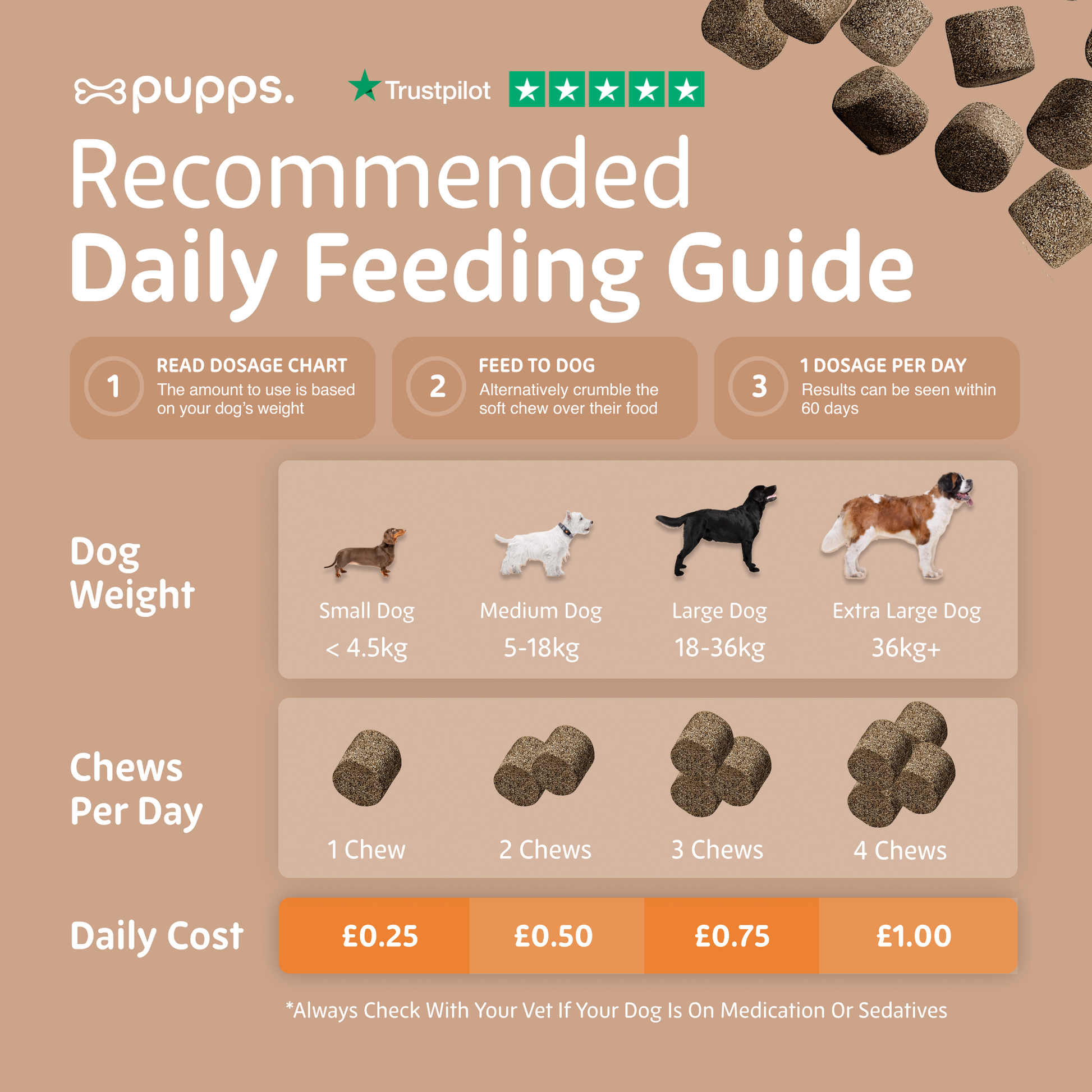 Daily feeding guide for skin and coat supplement chews for dogs