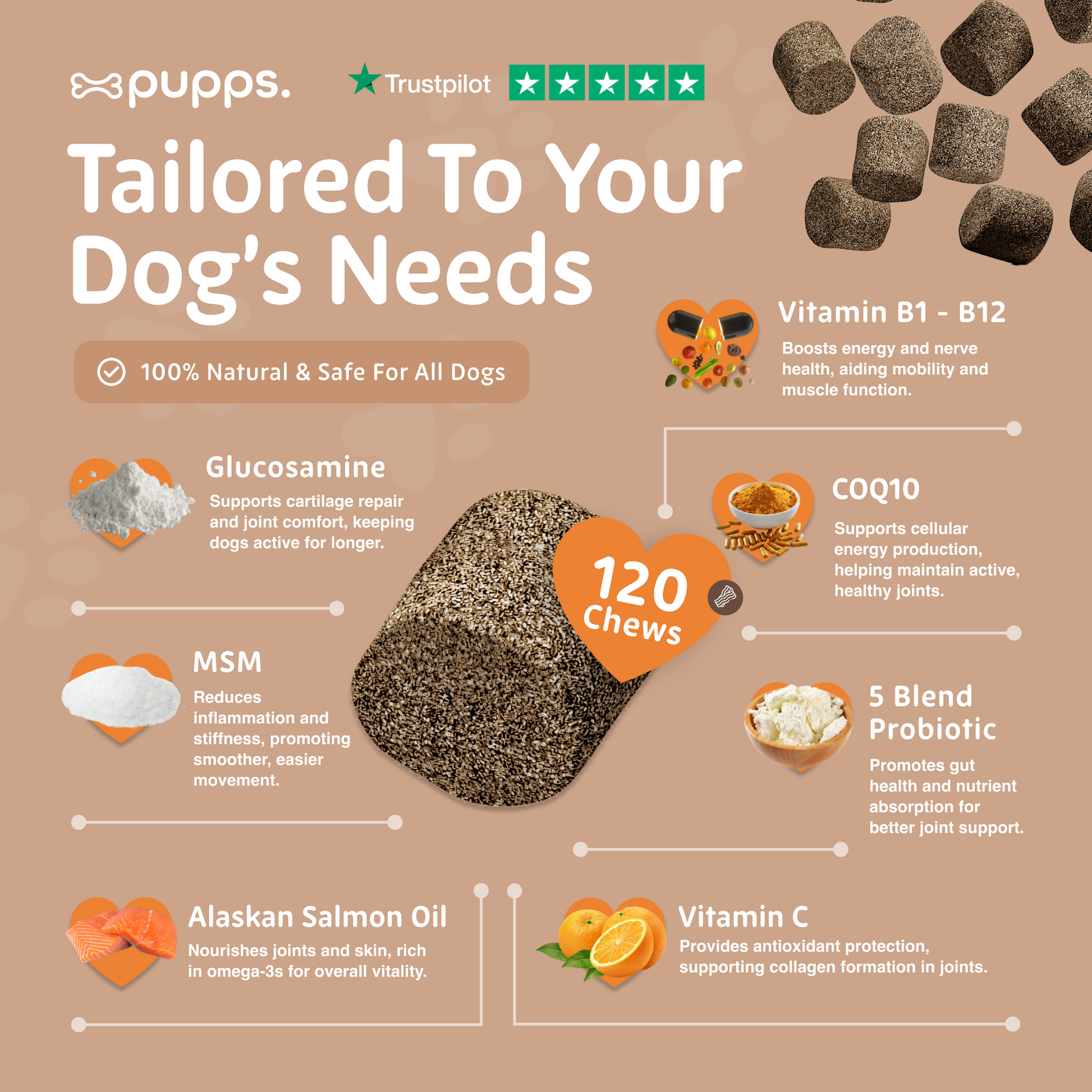 Ingredients used in skin and coat supplement chews for dogs