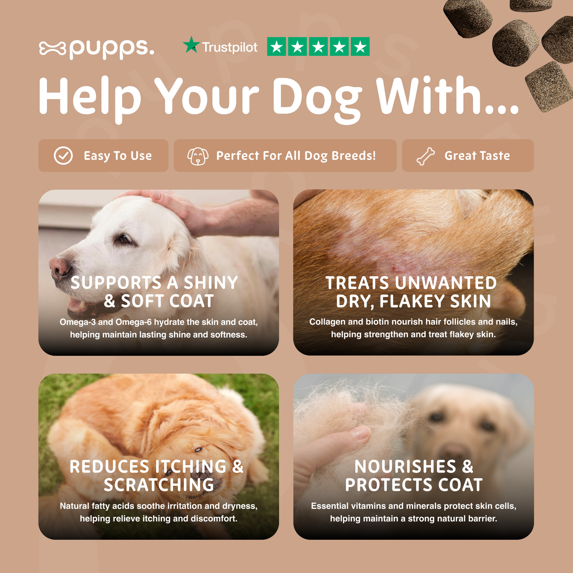 Skin and coat support chews for dogs with dry skin and coat concerns