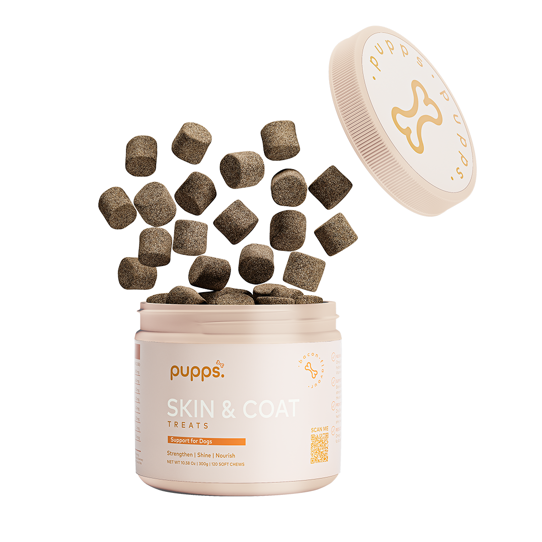 Tub of skin and coat treats for dogs with daily skin and coat support chews