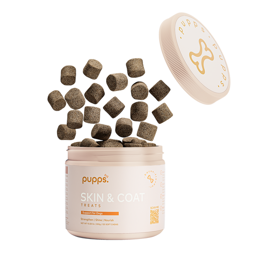 Tub of Pupps skin and coat treats for dogs with daily skin and coat support chews
