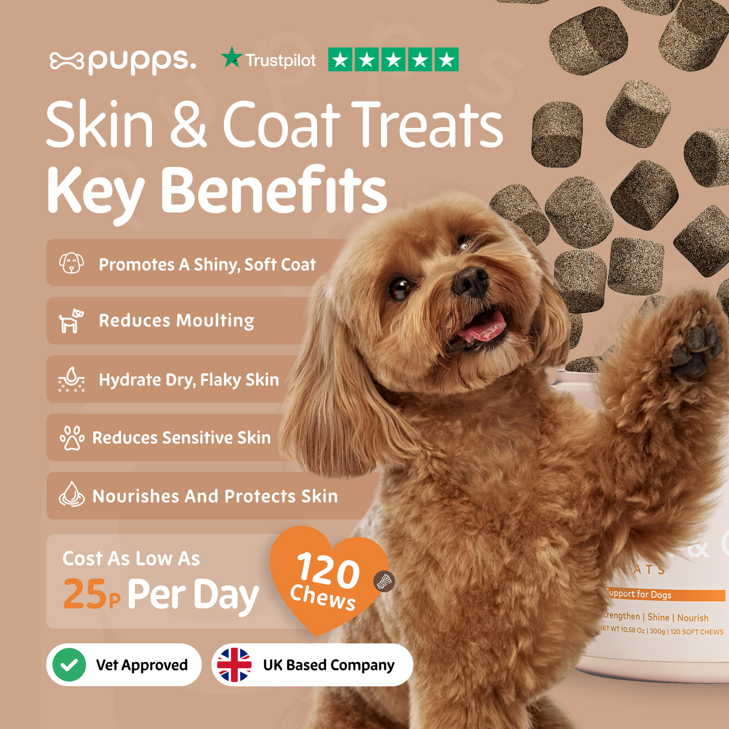 Skin and coat treats supporting coat shine and healthy skin in dogs