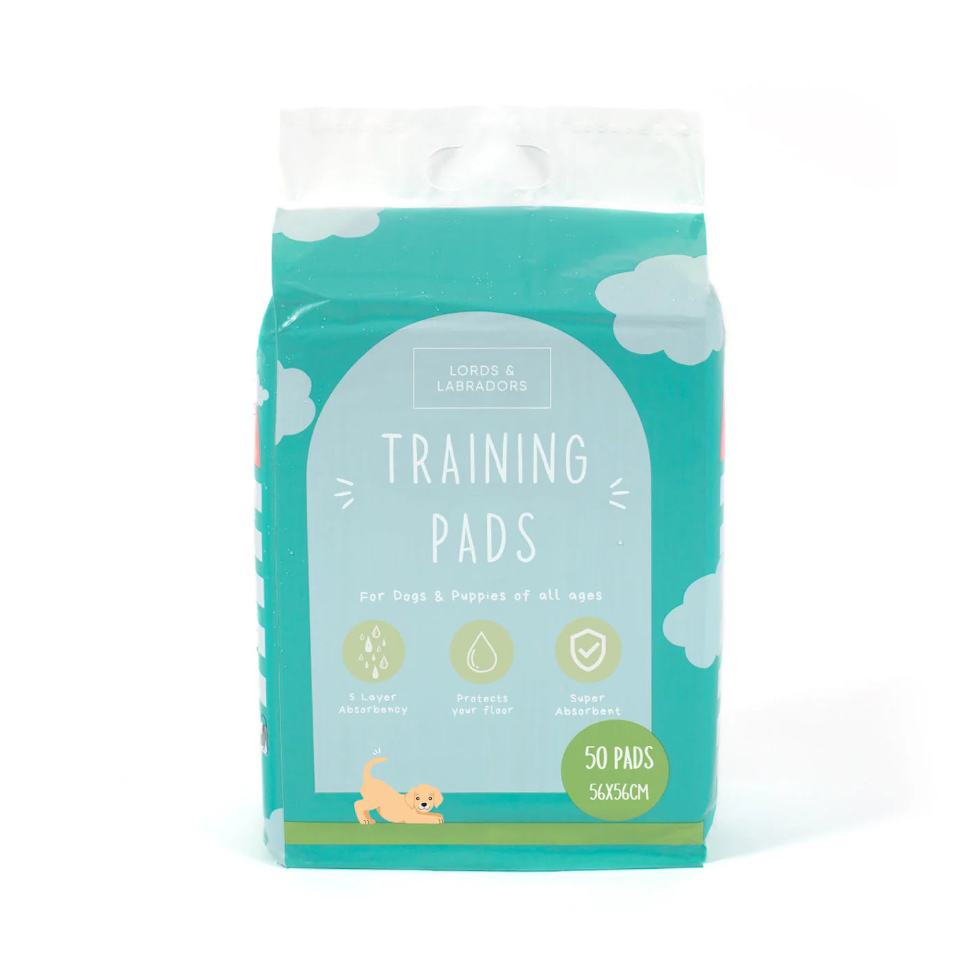 Puppy training pads used during indoor house training to protect floors