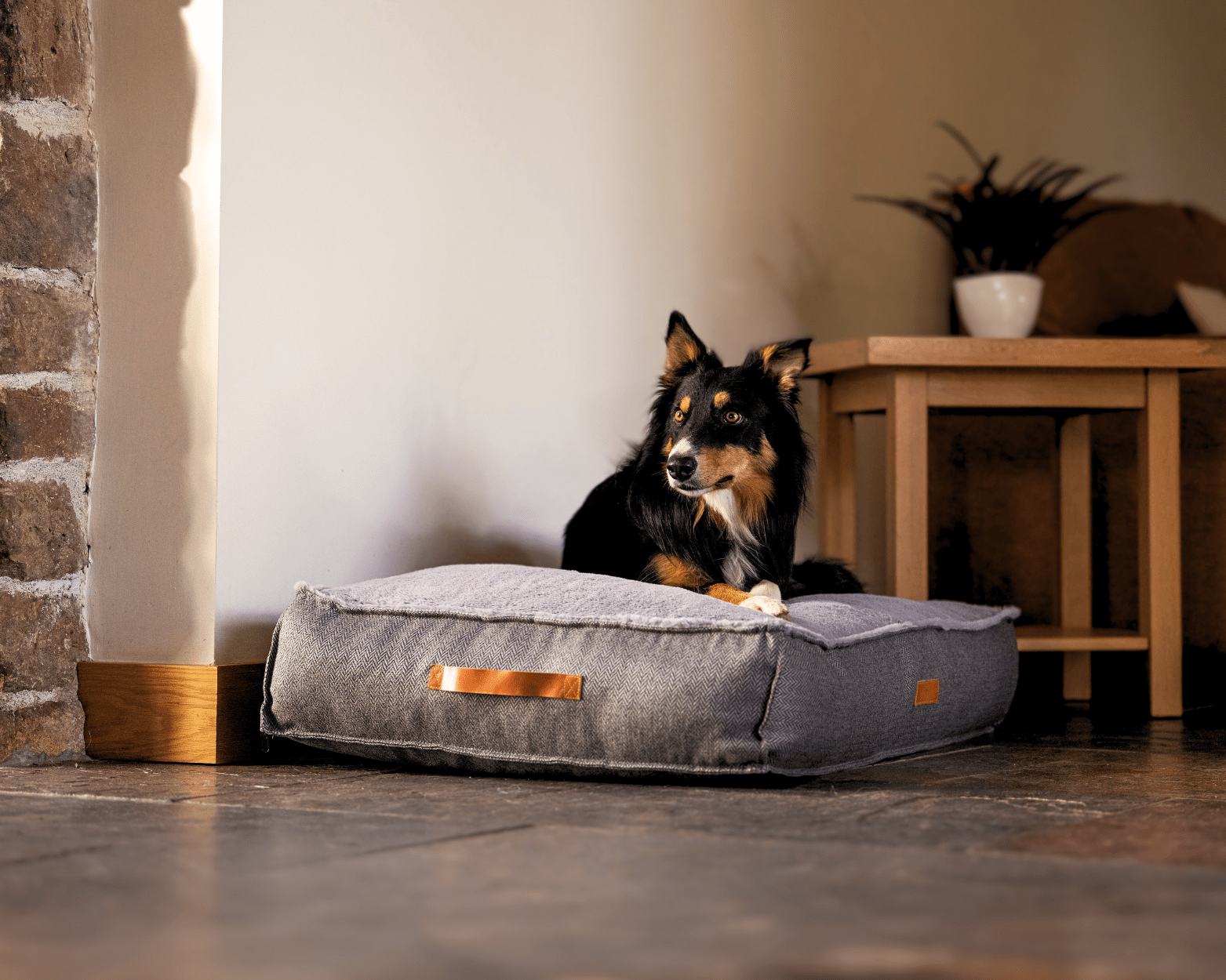 Ralph & Co Balmoral Luxury Pillow Dog Bed in a modern home.