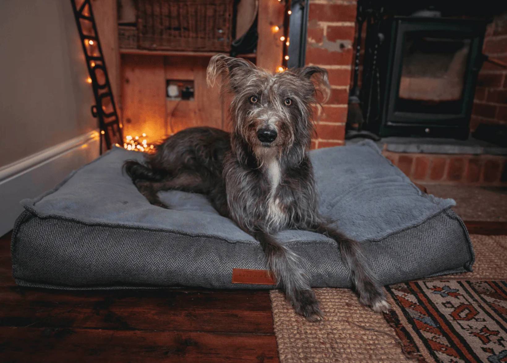 Dog resting on the Ralph & Co Balmoral Luxury Pillow Dog Bed beside a fireplace.