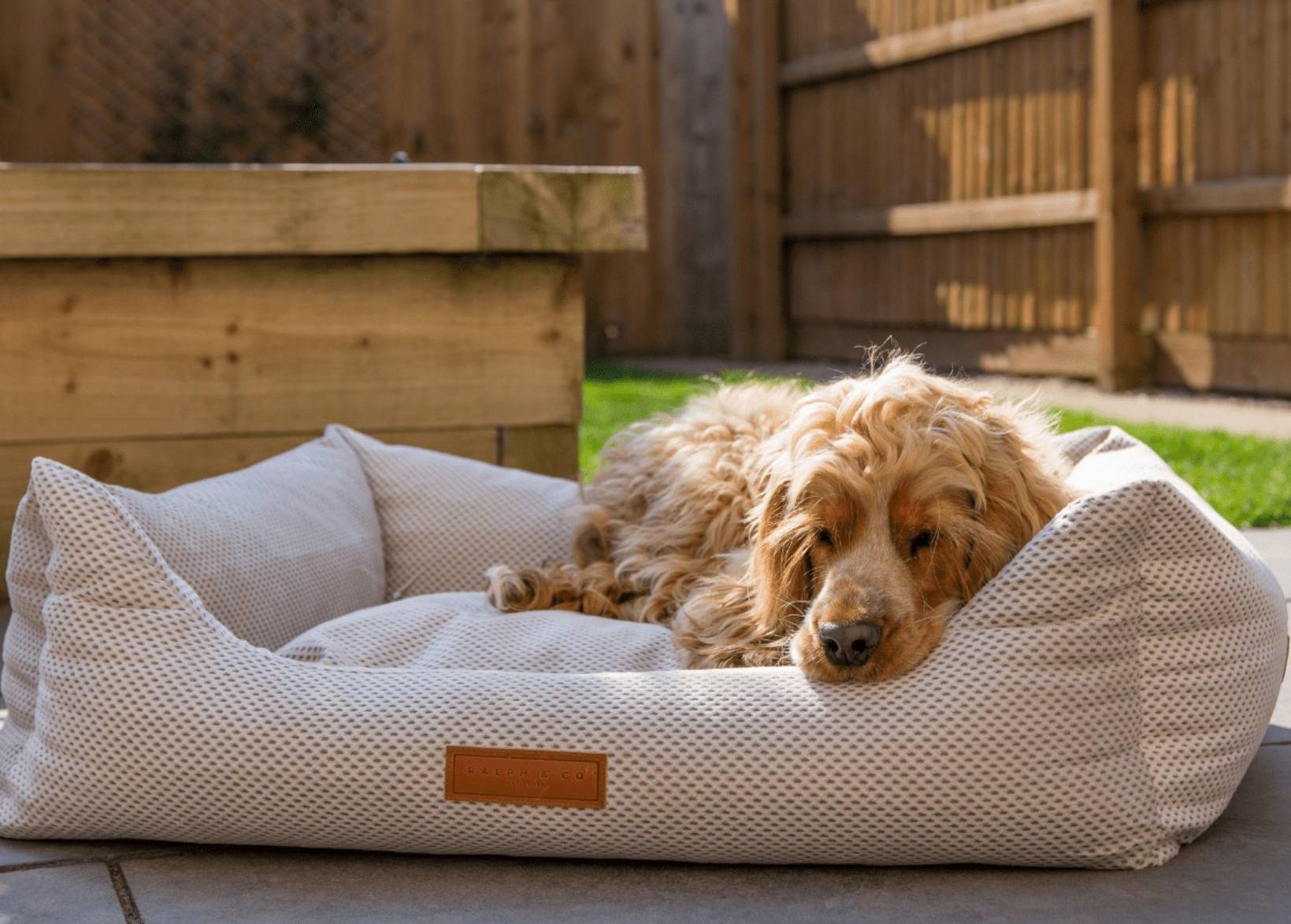 Dog resting on the Ralph & Co Chatsworth orthopaedic memory foam dog bed