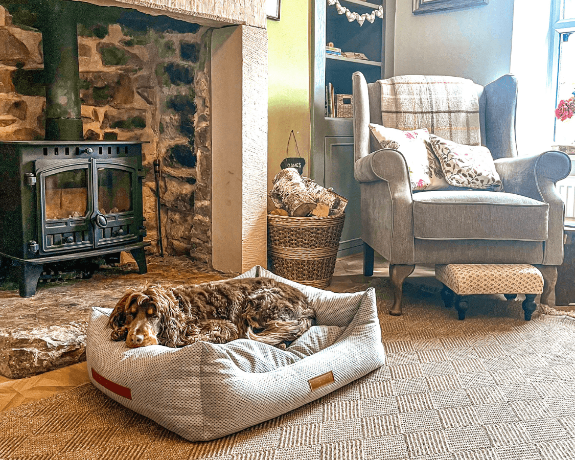 Grey orthopaedic memory foam dog bed displayed in a living room