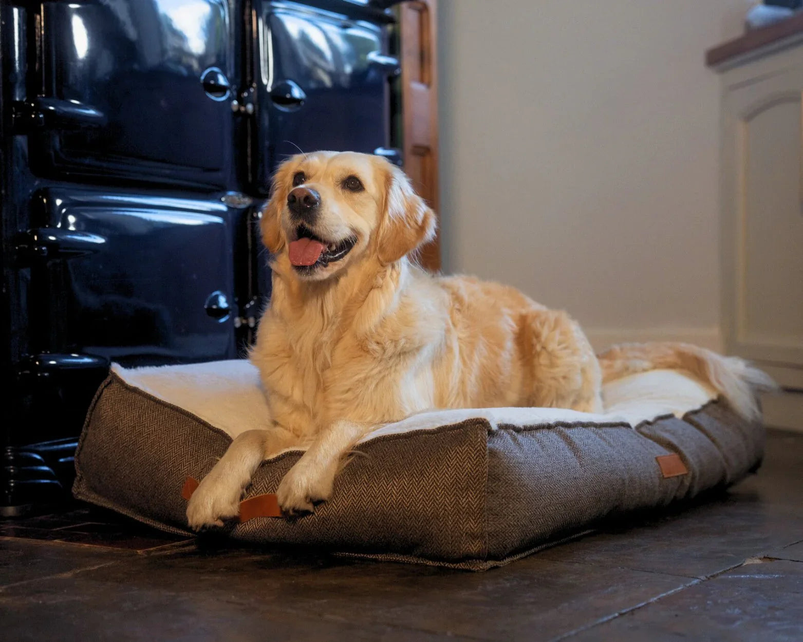 Dog resting on the Ralph & Co Lincoln Luxury Pillow Dog Bed.