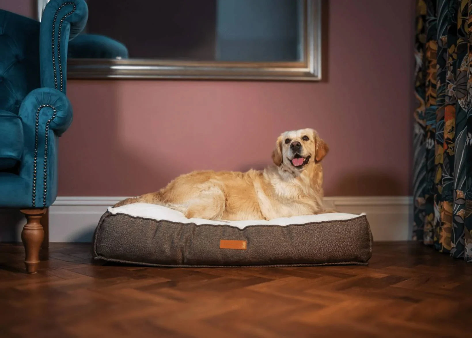 Dog relaxing on the Ralph & Co Lincoln Luxury Pillow Dog Bed.