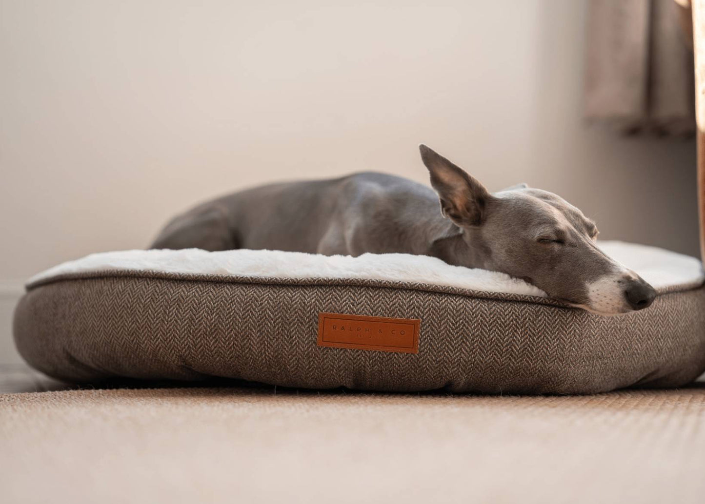 Dog resting in the Ralph & Co Lincoln Luxury Tweed Herringbone Donut Dog Bed