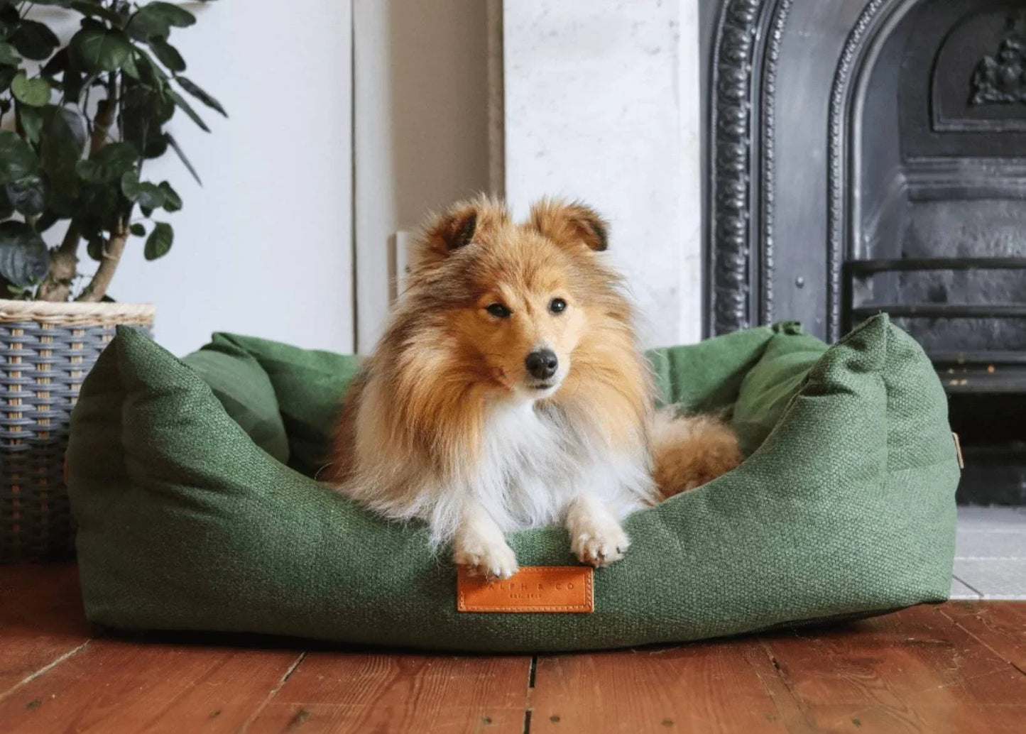 Dog resting in a Ralph & Co Richmond nest dog bed