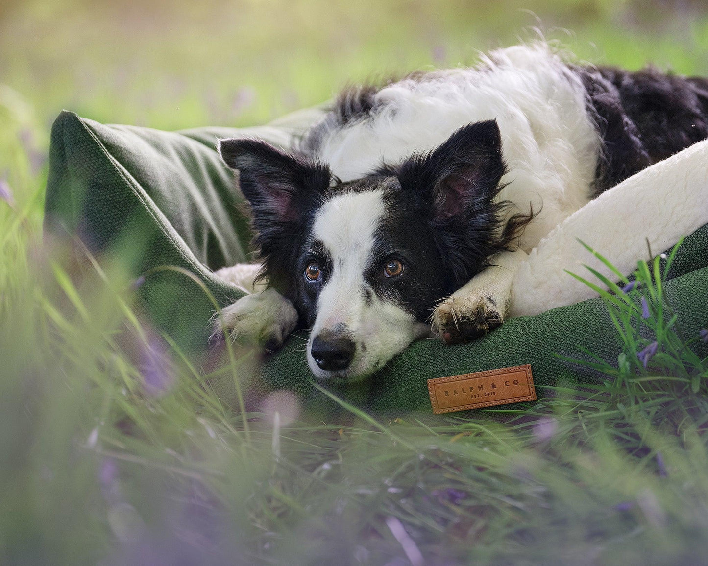 Dog relaxing outdoors in a Ralph & Co Richmond nest dog bed
