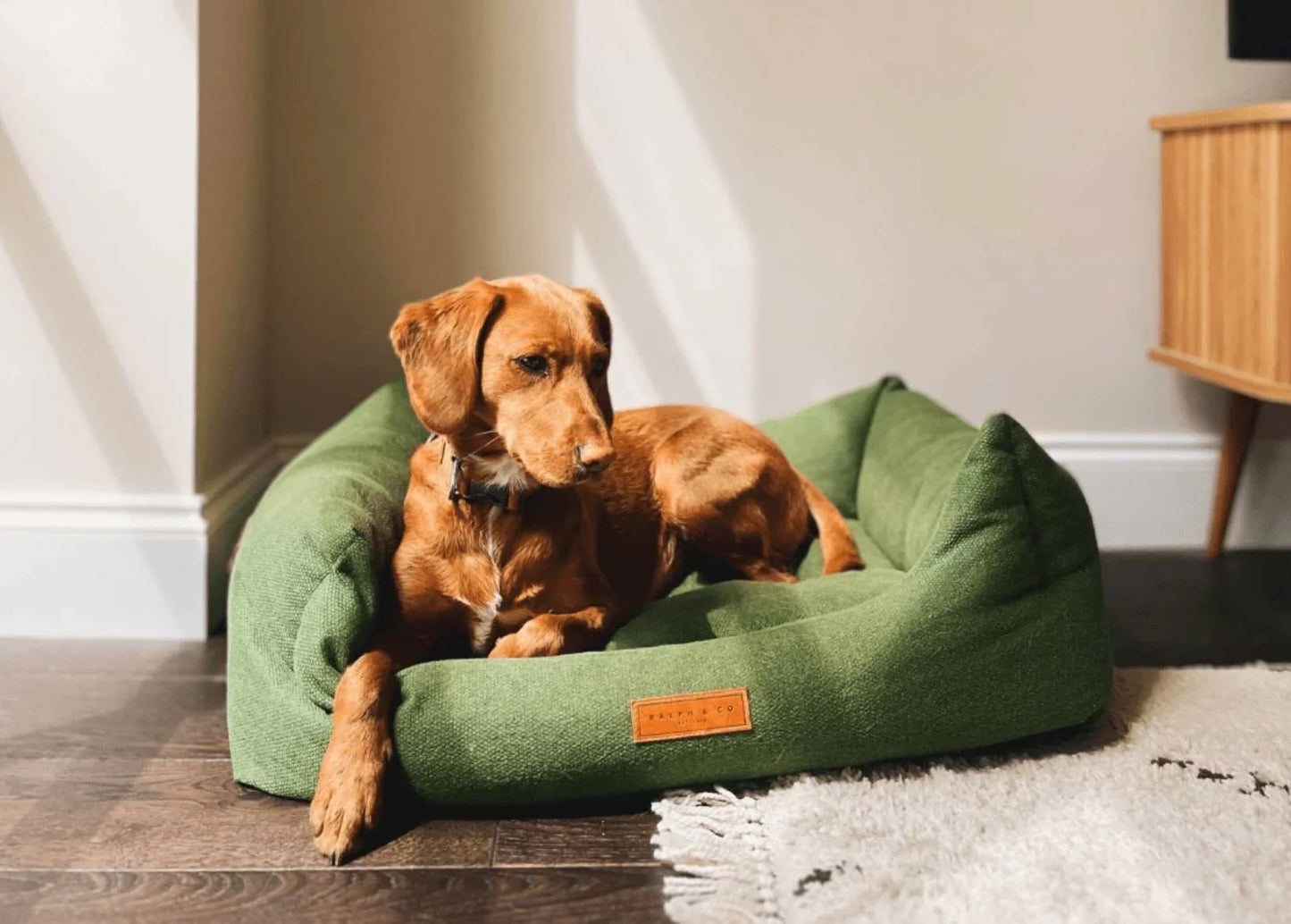 Dog relaxing in a Ralph & Co Richmond nest dog bed