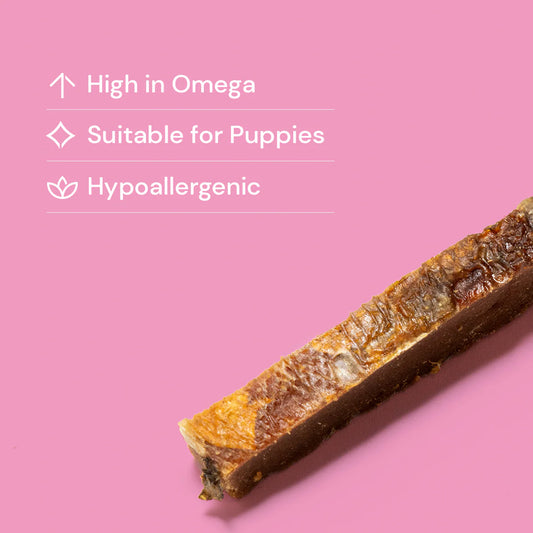 Natural dog treats salmon skin strip with text highlighting its benefits on a pink background