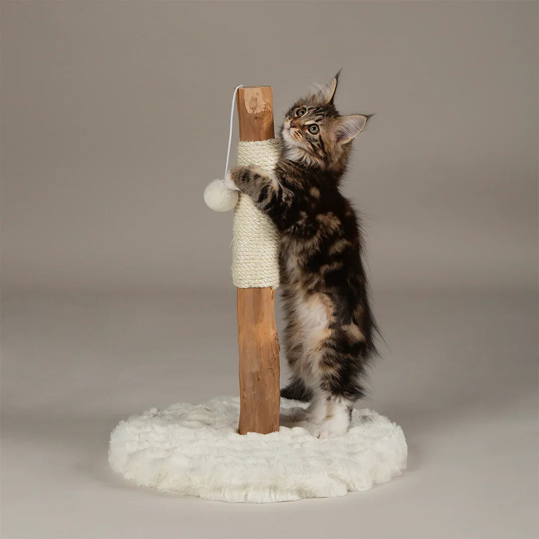 Scruffs Andes kitten scratching post in cream with kitten scratching sisal post